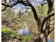 Lot 74 Cattle Station Road, Rosedale QLD 4674