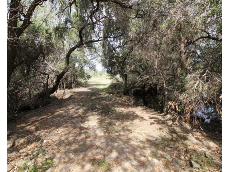 Lot 74 Cattle Station Road, Rosedale QLD 4674