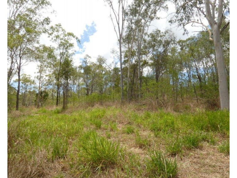 1107 Hills Road, Mount Maria QLD 4674