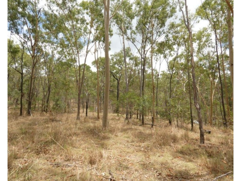 1107 Hills Road, Mount Maria QLD 4674