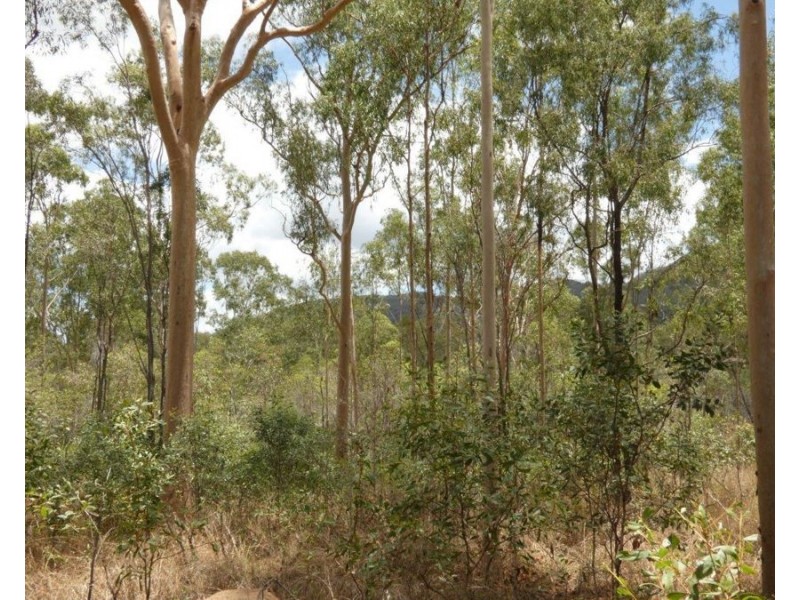 1107 Hills Road, Mount Maria QLD 4674