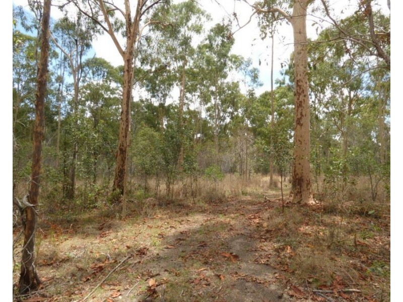 1107 Hills Road, Mount Maria QLD 4674