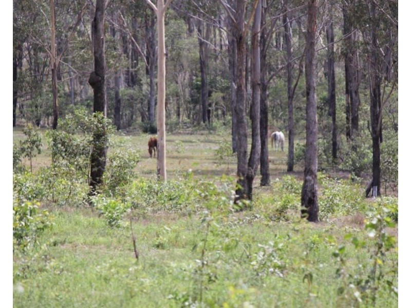 Lot 5 Watalgan Road, Waterloo QLD 4673