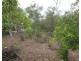 641 Mineral Road, Rosedale QLD 4674