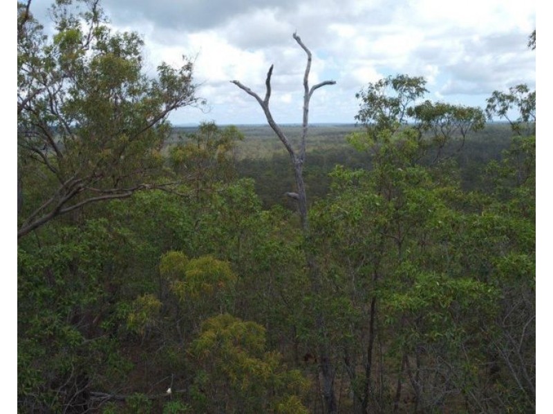 641 Mineral Road, Rosedale QLD 4674