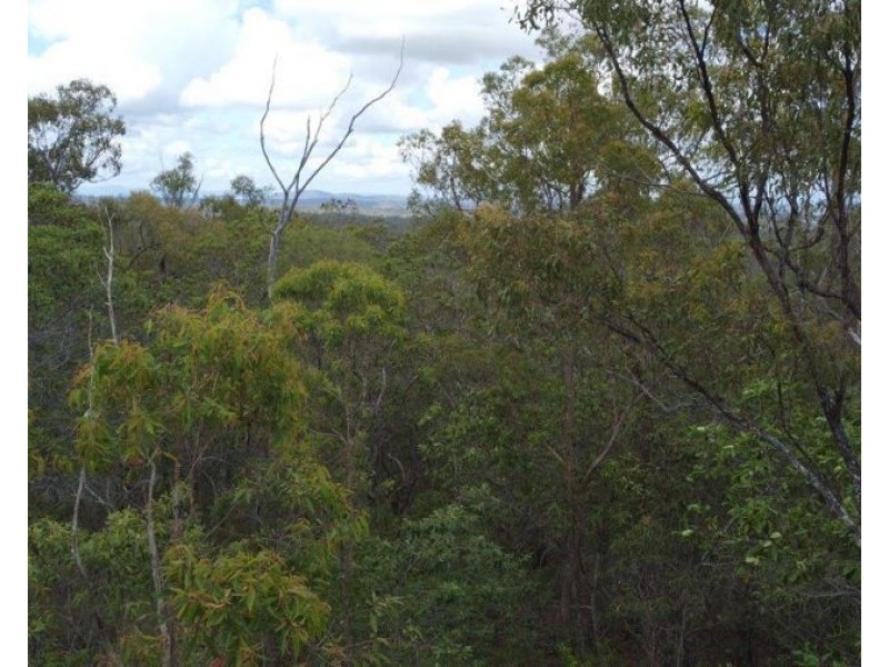 641 Mineral Road, Rosedale QLD 4674