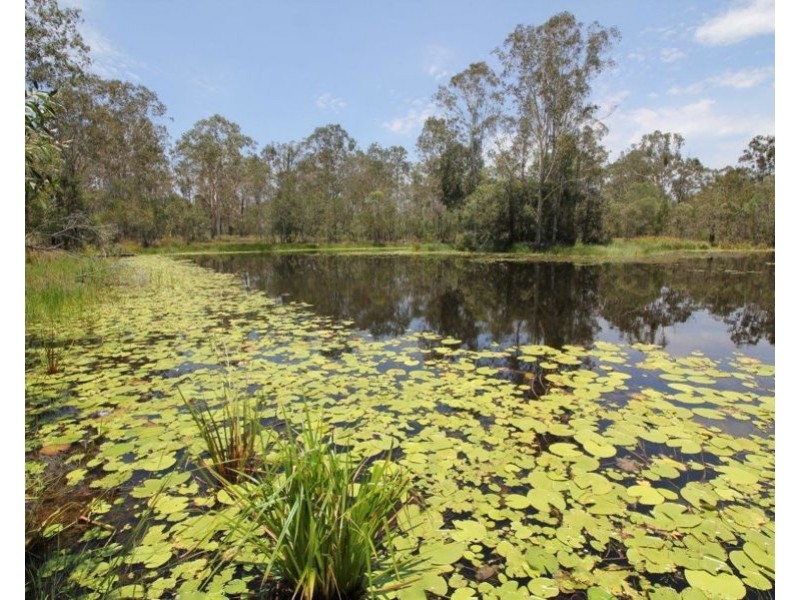 Lot 7 Coast Road, Baffle Creek QLD 4674