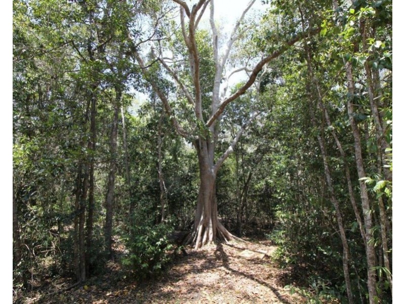Lot 7 Coast Road, Baffle Creek QLD 4674
