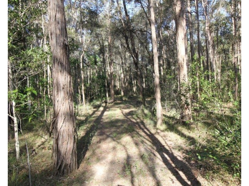 155 Top Waterloo Road, Waterloo QLD 4673