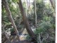 155 Top Waterloo Road, Waterloo QLD 4673