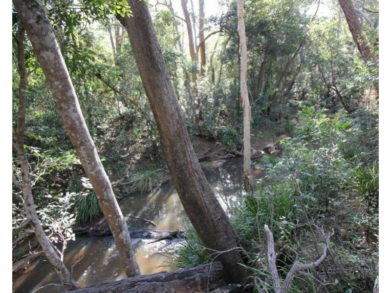 155 Top Waterloo Road, Waterloo QLD 4673