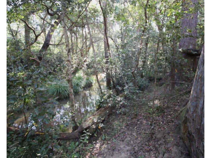 155 Top Waterloo Road, Waterloo QLD 4673