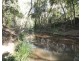 155 Top Waterloo Road, Waterloo QLD 4673
