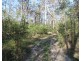155 Top Waterloo Road, Waterloo QLD 4673