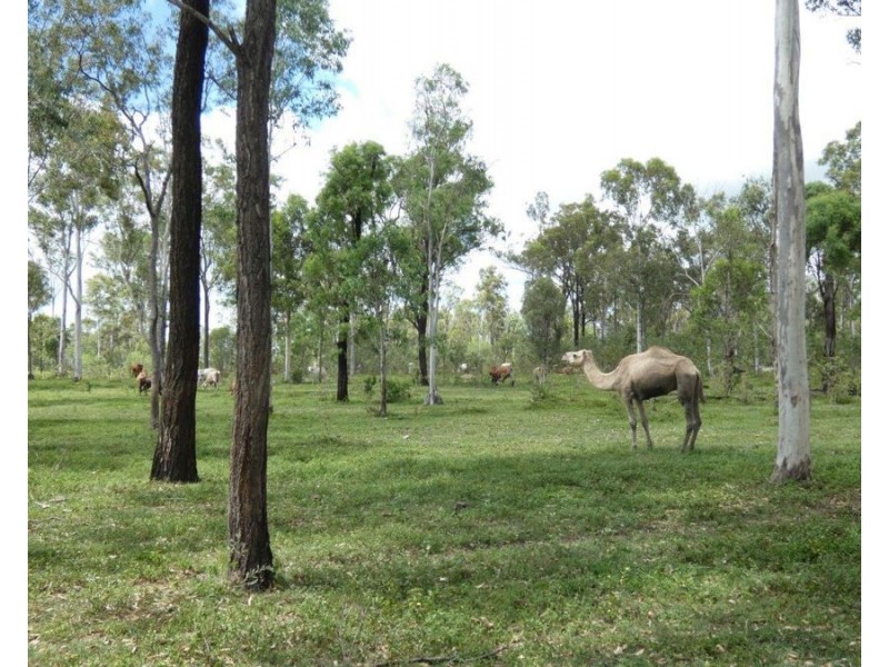 277 Bushlands Road, Bororen QLD 4678