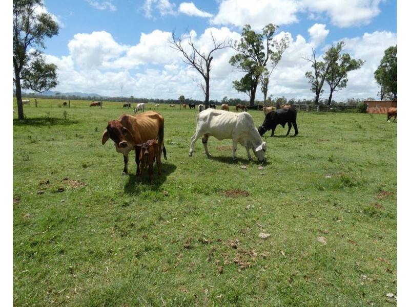 277 Bushlands Road, Bororen QLD 4678