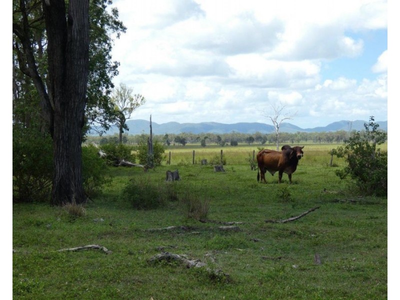 277 Bushlands Road, Bororen QLD 4678