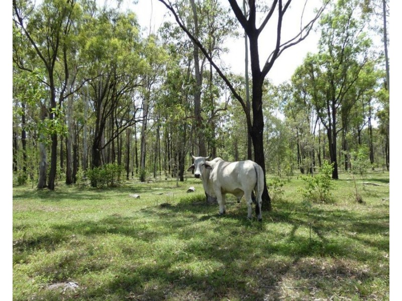 277 Bushlands Road, Bororen QLD 4678