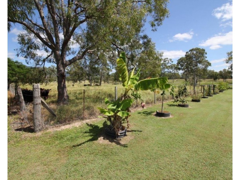 189 VANDERWOLFS ROAD, Colosseum QLD 4677