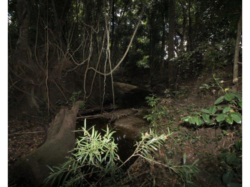 189 VANDERWOLFS ROAD, Colosseum QLD 4677