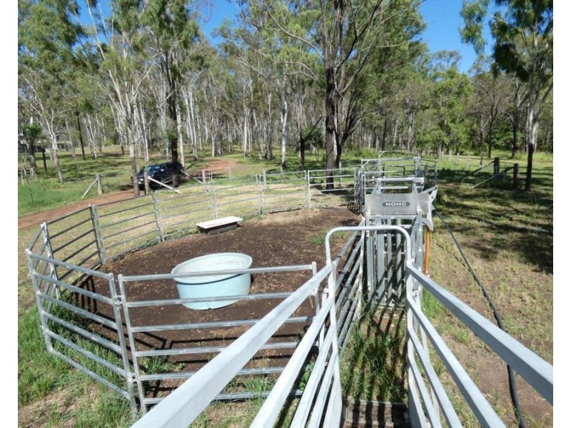 1021 Hills Road, Mount Maria QLD 4674