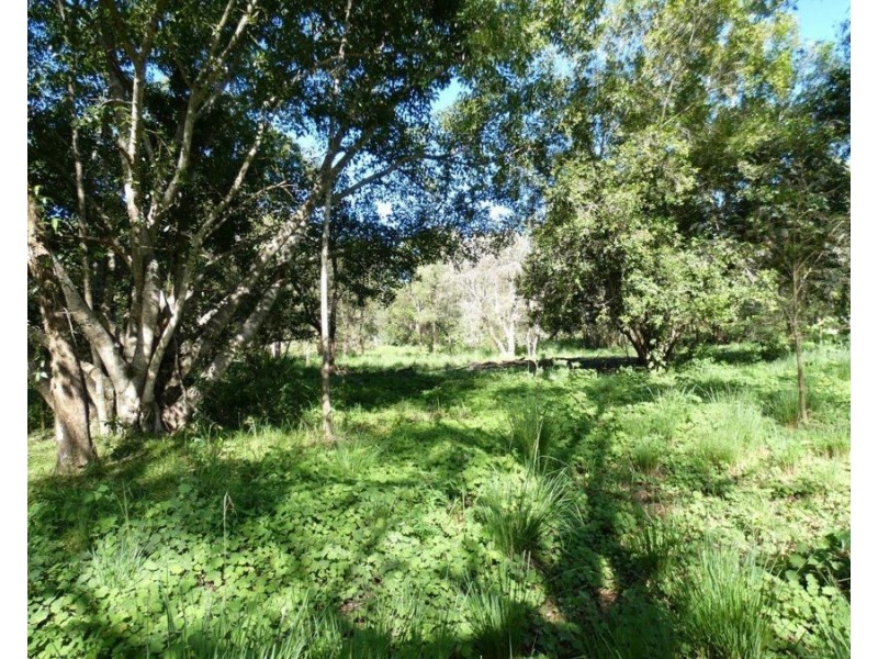1021 Hills Road, Mount Maria QLD 4674