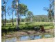 1021 Hills Road, Mount Maria QLD 4674
