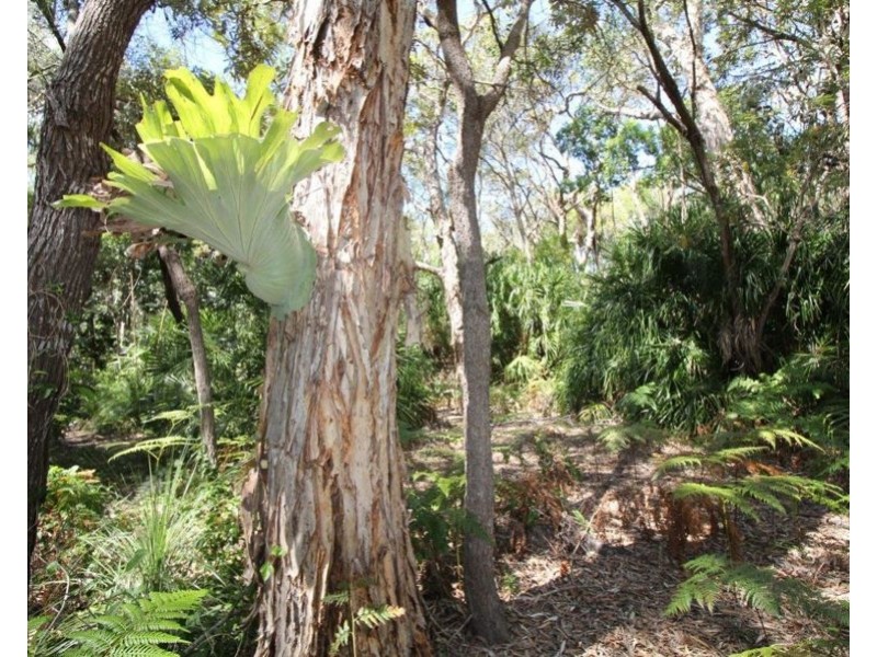 696 Fingerfield Road, Deepwater QLD 4674