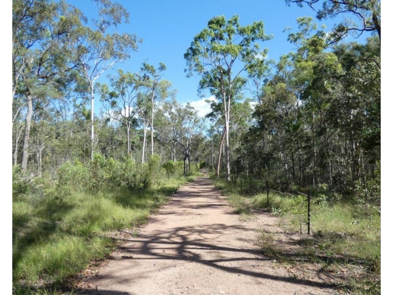 255 Mollenhagens Road, Winfield QLD 4670
