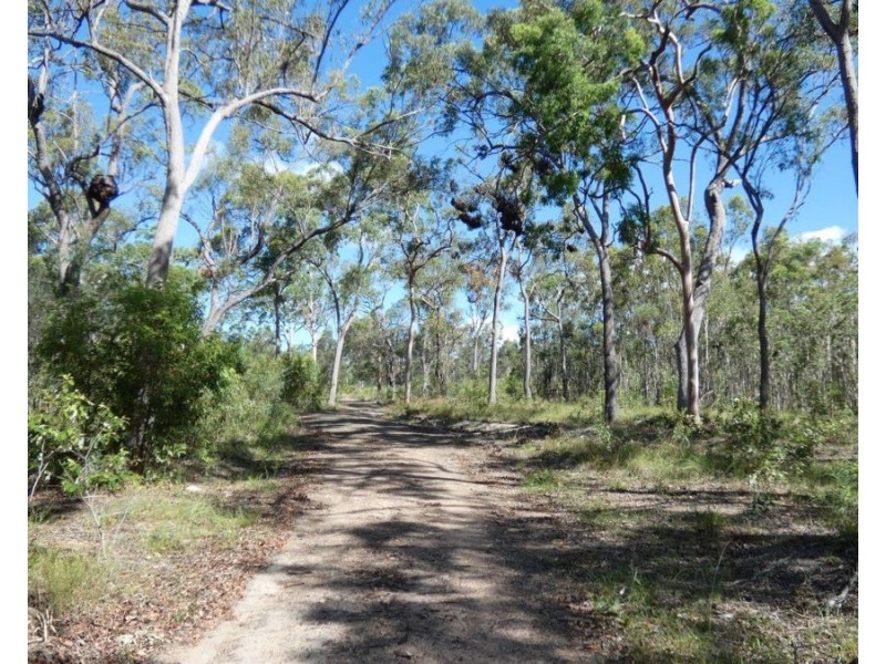 255 Mollenhagens Road, Winfield QLD 4670