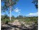 255 Mollenhagens Road, Winfield QLD 4670
