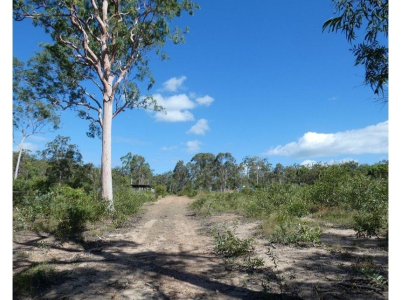 255 Mollenhagens Road, Winfield QLD 4670