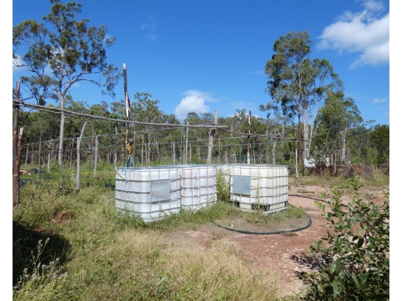 255 Mollenhagens Road, Winfield QLD 4670