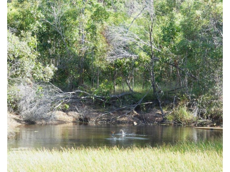 255 Mollenhagens Road, Winfield QLD 4670