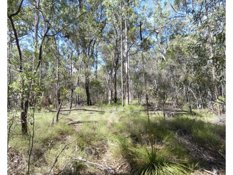 255 Mollenhagens Road, Winfield QLD 4670