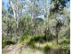 255 Mollenhagens Road, Winfield QLD 4670