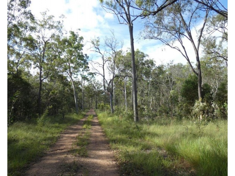 255 Mollenhagens Road, Winfield QLD 4670