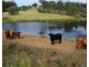 Lot 2 Barnetts Road, Rosedale QLD 4674