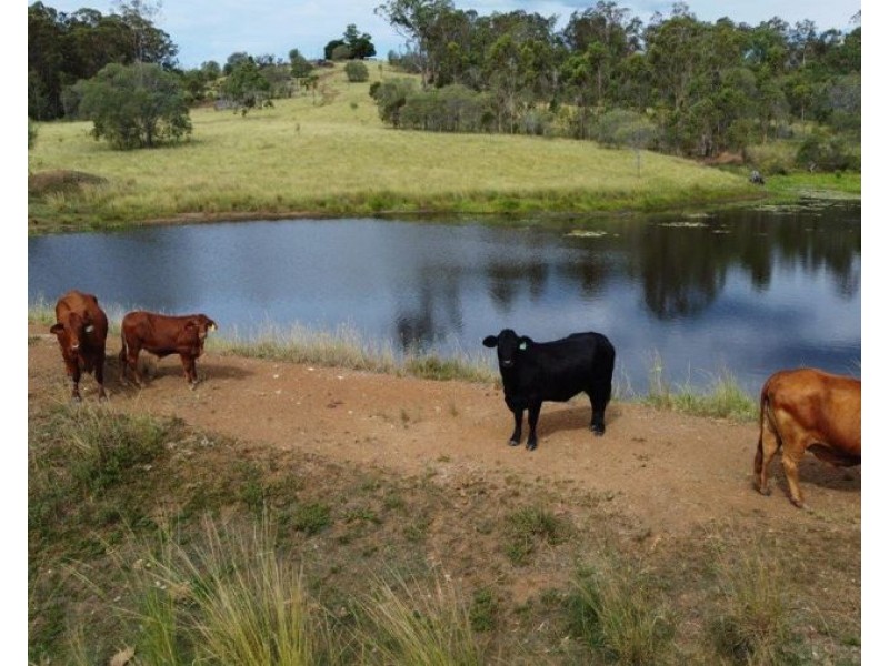 Lot 2 Barnetts Road, Rosedale QLD 4674