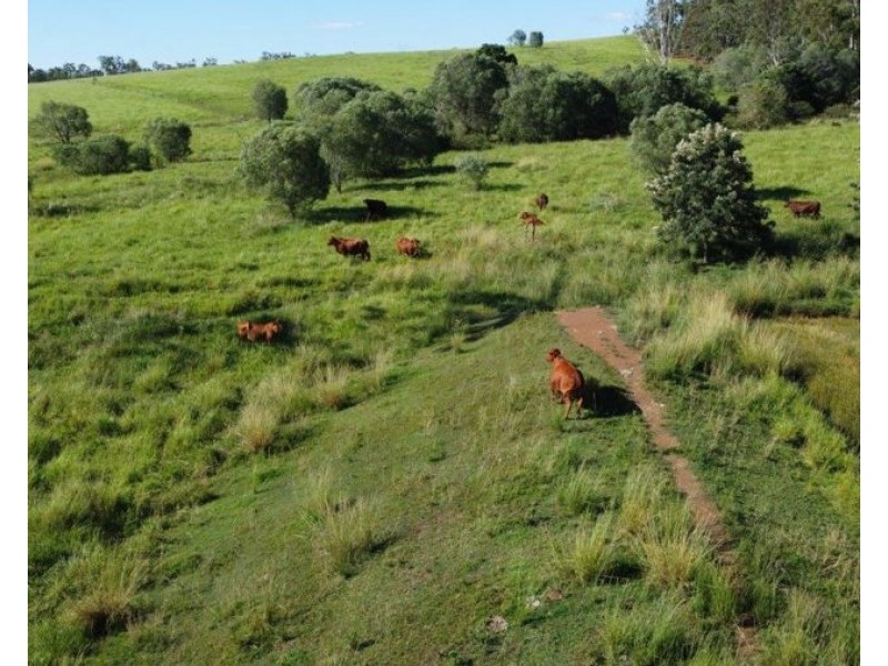 Lot 2 Barnetts Road, Rosedale QLD 4674
