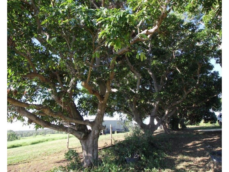 Lot 2 Barnetts Road, Rosedale QLD 4674