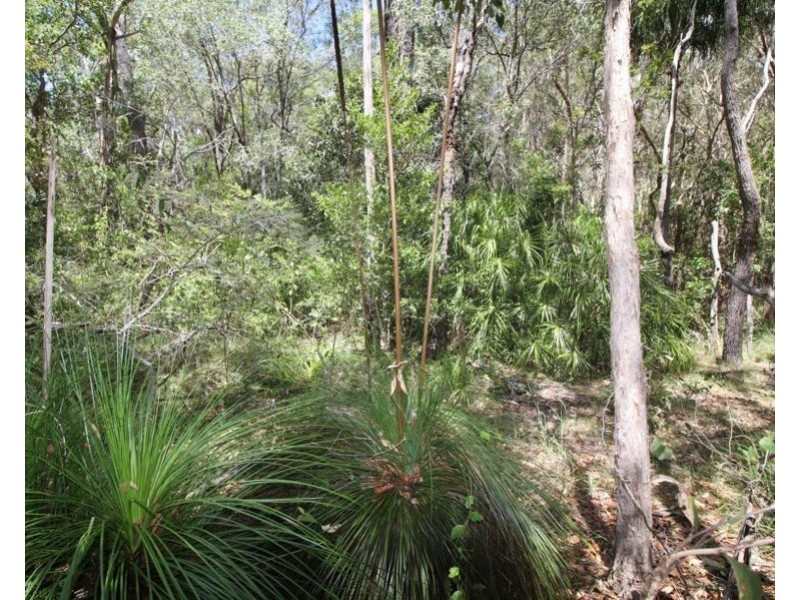 9 Coe Road, Deepwater QLD 4674