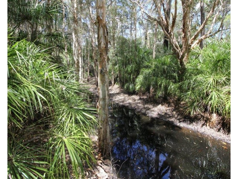 9 Coe Road, Deepwater QLD 4674