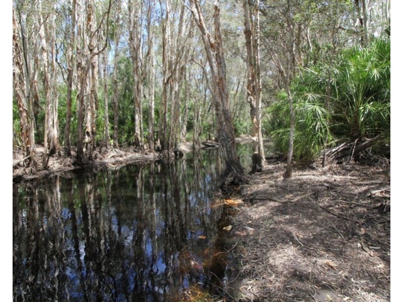 9 Coe Road, Deepwater QLD 4674