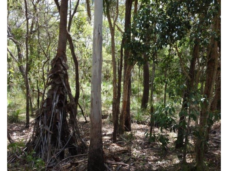 9 Coe Road, Deepwater QLD 4674