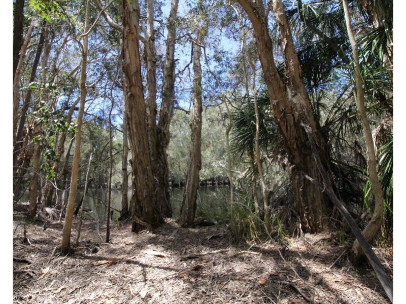 9 Coe Road, Deepwater QLD 4674