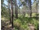 426 Mitchell Road, Mount Maria QLD 4674