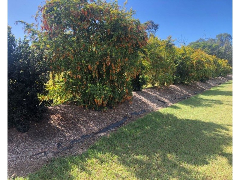 106 Matchbox Road, Deepwater QLD 4674