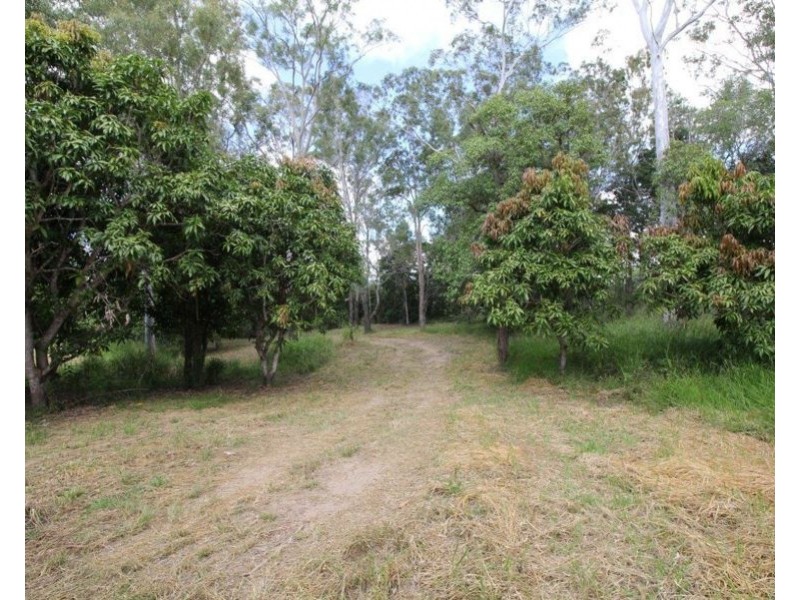 407 Oyster Creek Road, Oyster Creek QLD 4674