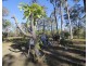 123 Taunton Road, Euleilah QLD 4674